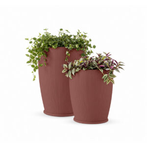 AMORPHA 2 Amorpha orient red