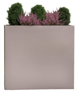RUMEX 158 RUMEX