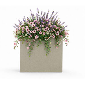 RUMEX 13 Rumex beige stone