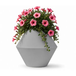 SILENE 16 Silene light grey